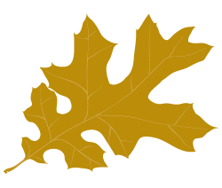 logo art